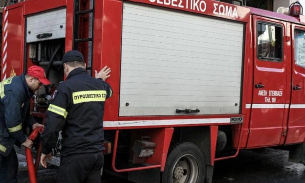 Επί ποδός η πυροσβεστική: Φωτιά στην περιοχή Δρυάλια Λακωνίας
